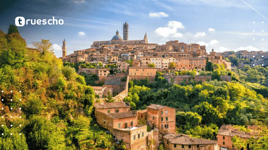  التقديم في جامعة بامبرغ