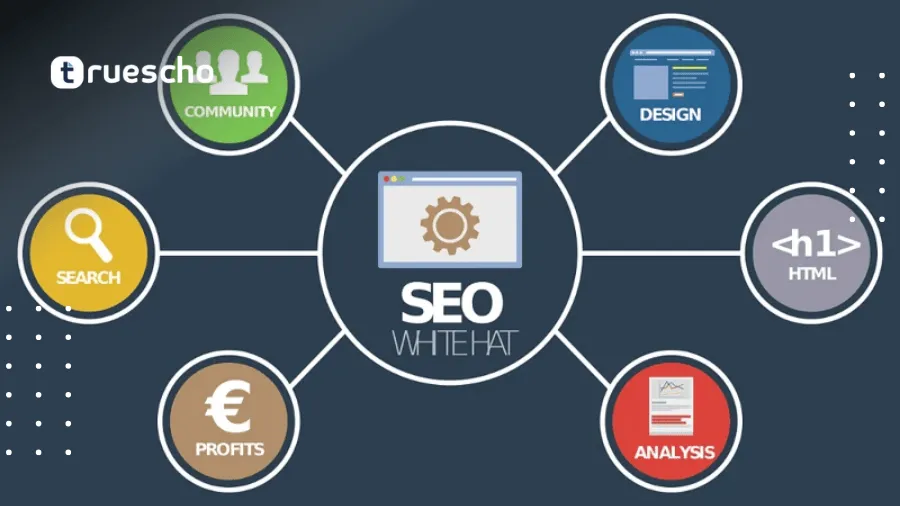 تحسين محتوى المدونة لSEO