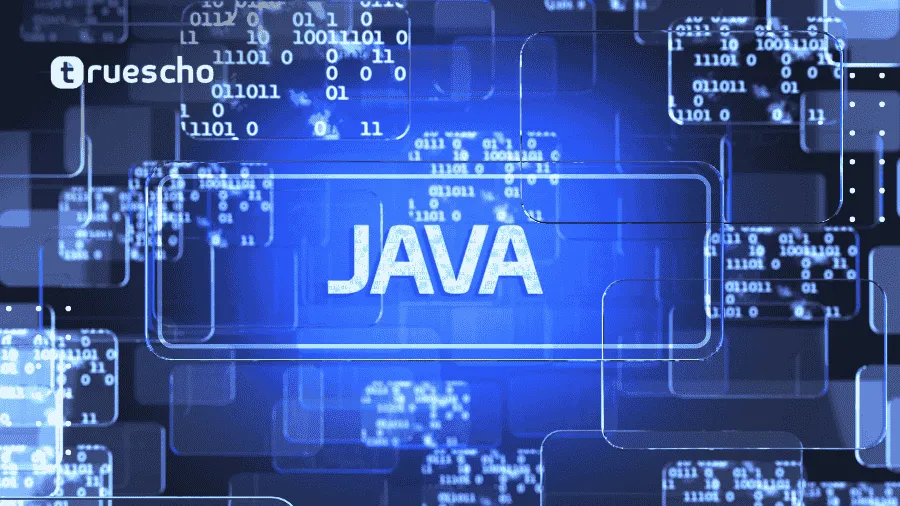 لغات البرمجة للمبتدئين