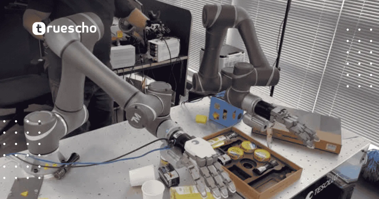 الروبوتات الشبيهة بالبشر