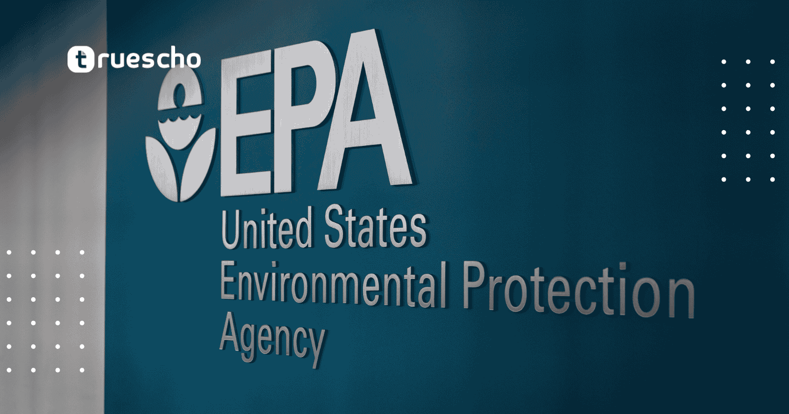  المنظمات غير الربحية