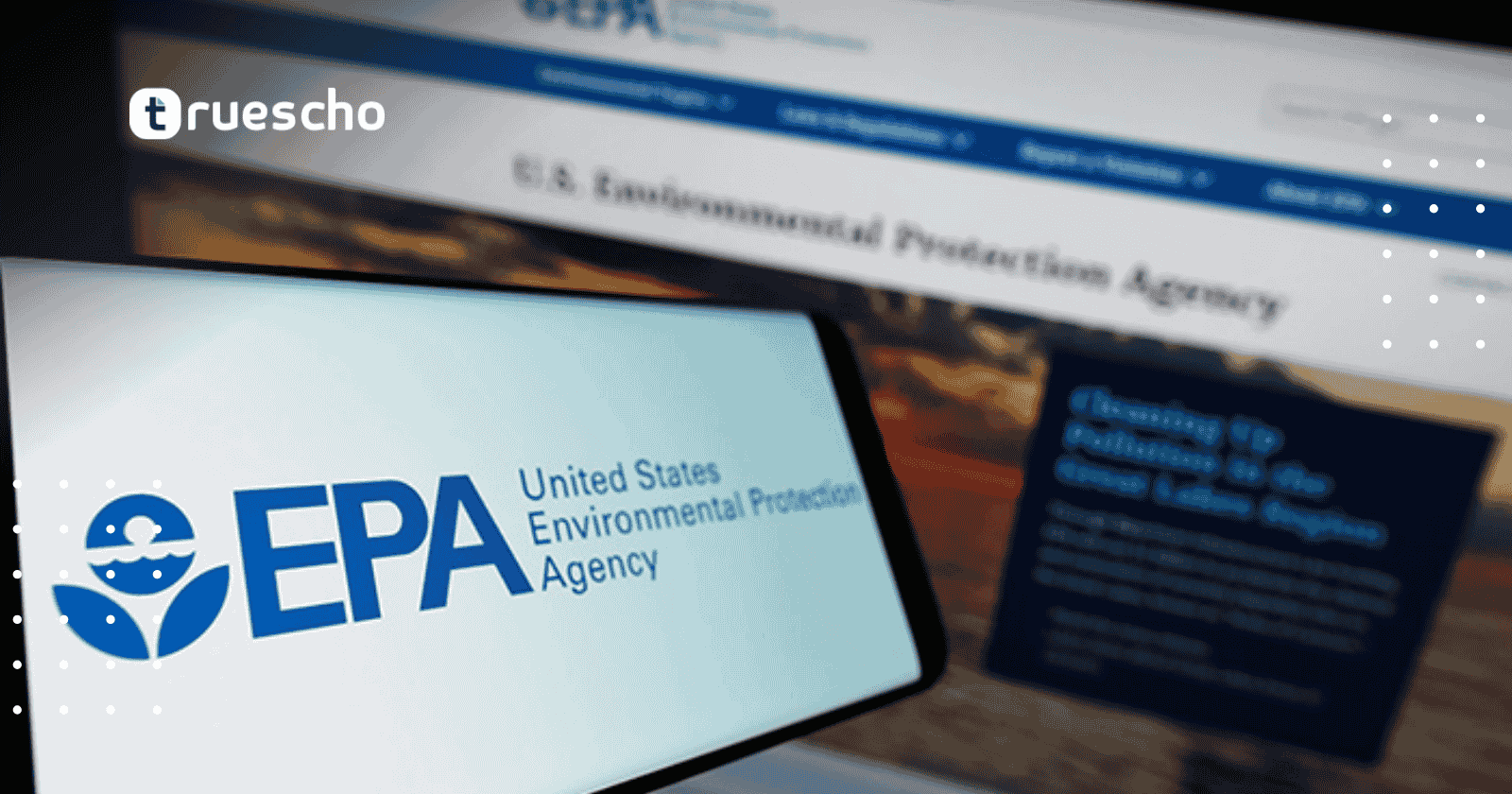 المنظمات غير الربحية