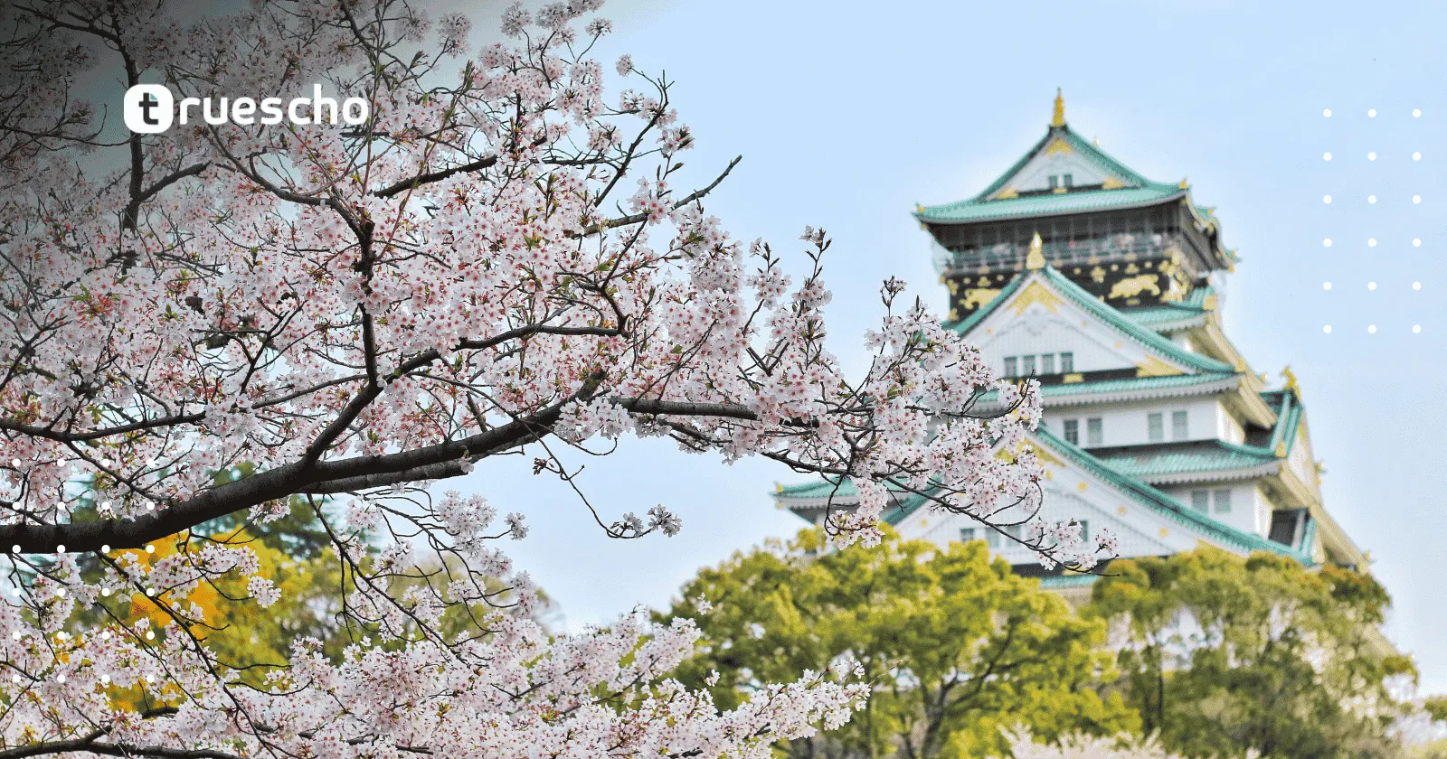 برنامج التدريب العالمي من HENNGE