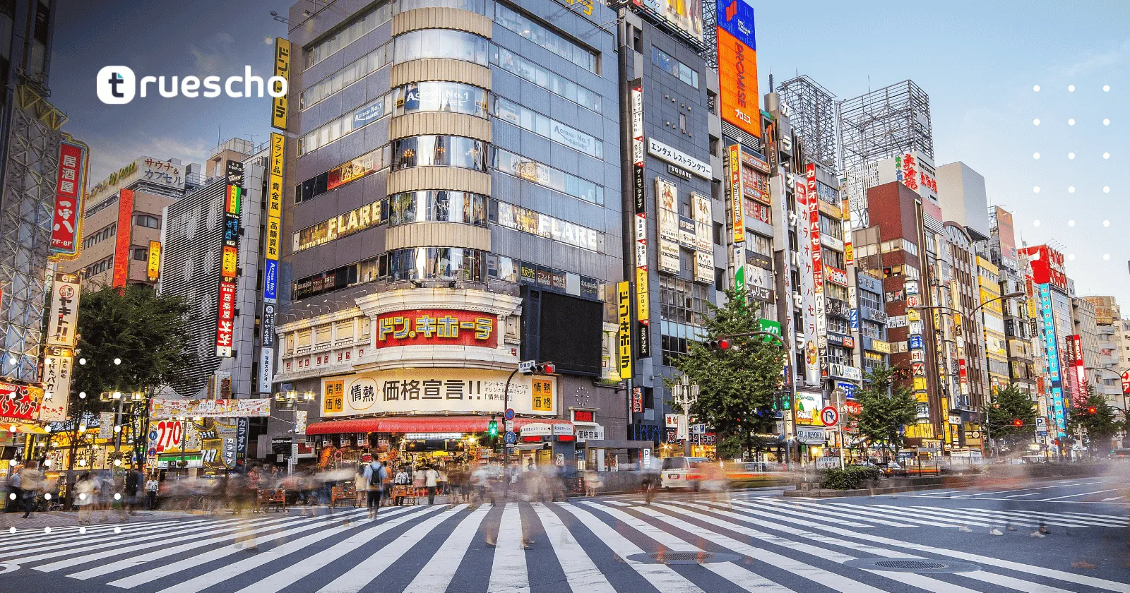 تدريب كيوتو الجامعي الصيفي