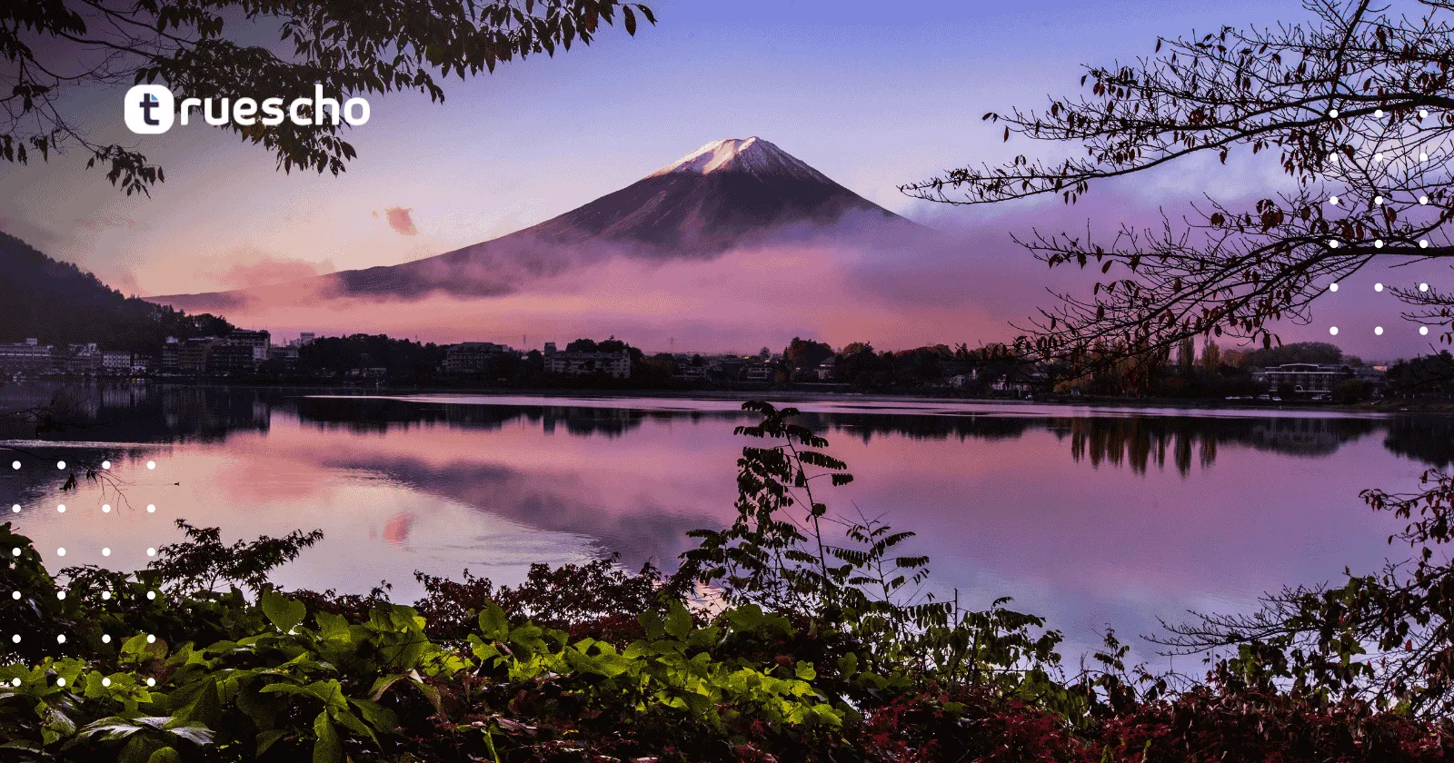 تدريب كيوتو الجامعي الصيفي
