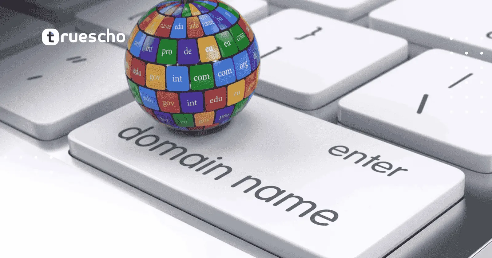 تكلفة تجديد الدومين