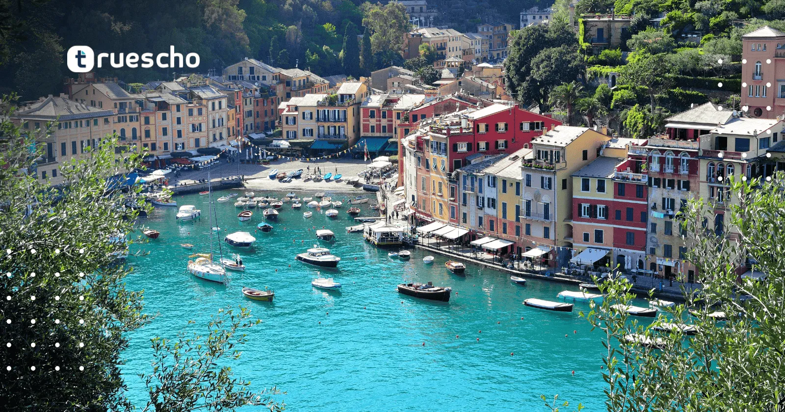 جامعة ميسينا