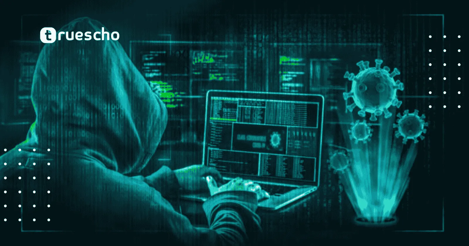 حماية بلوهوست من الهجمات الإلكترونية