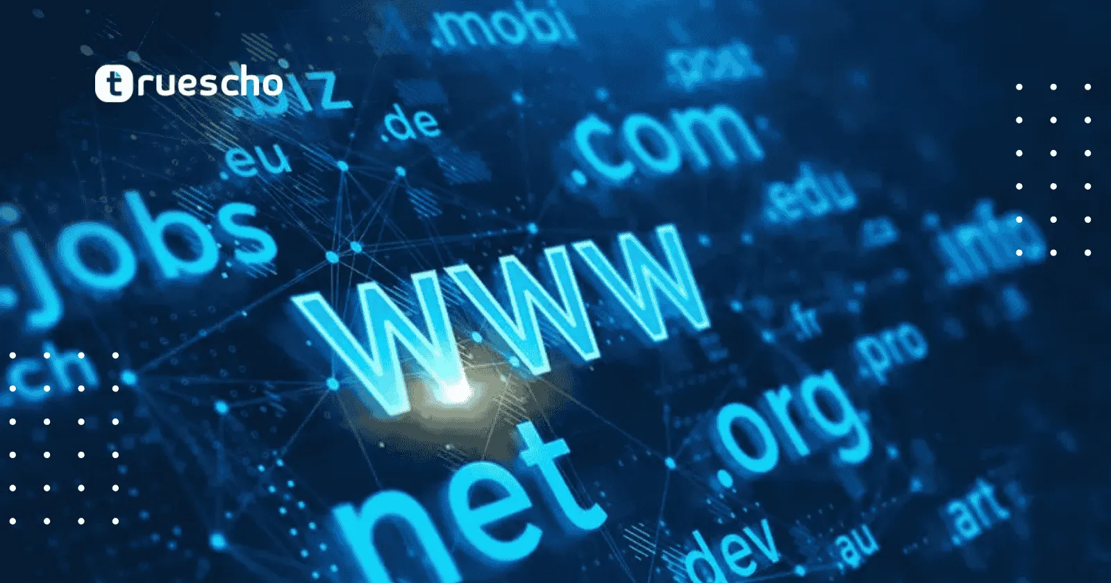 ربط دومين مسجل من شركة أخرى