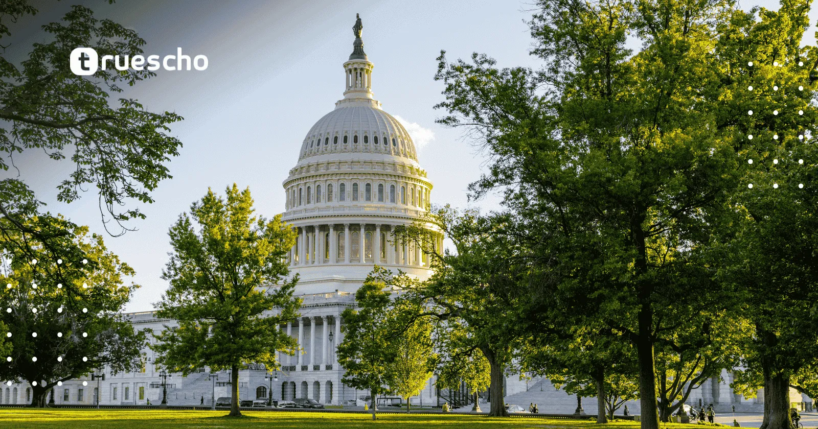 زمالة سياسات جوجل