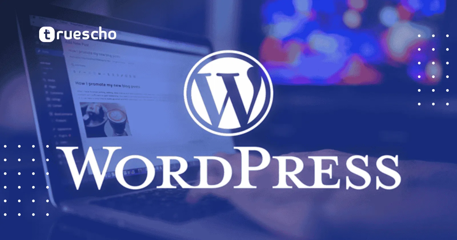 قوالب ووردبريس جاهزة مع الاستضافة