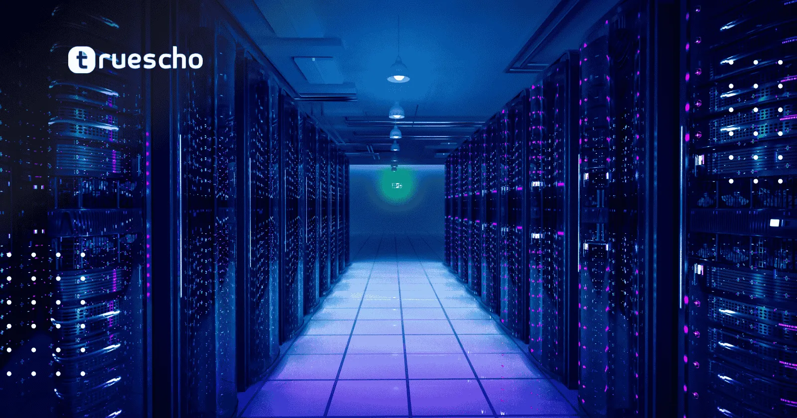 ما تكلفة الخوادم المخصصة للمواقع عالية الحركة