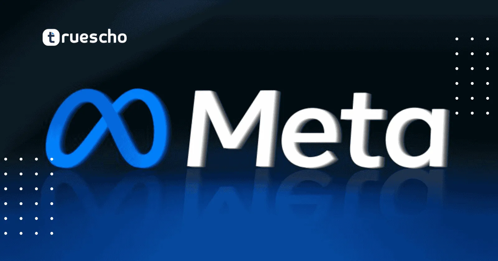 مذكرات ميتا