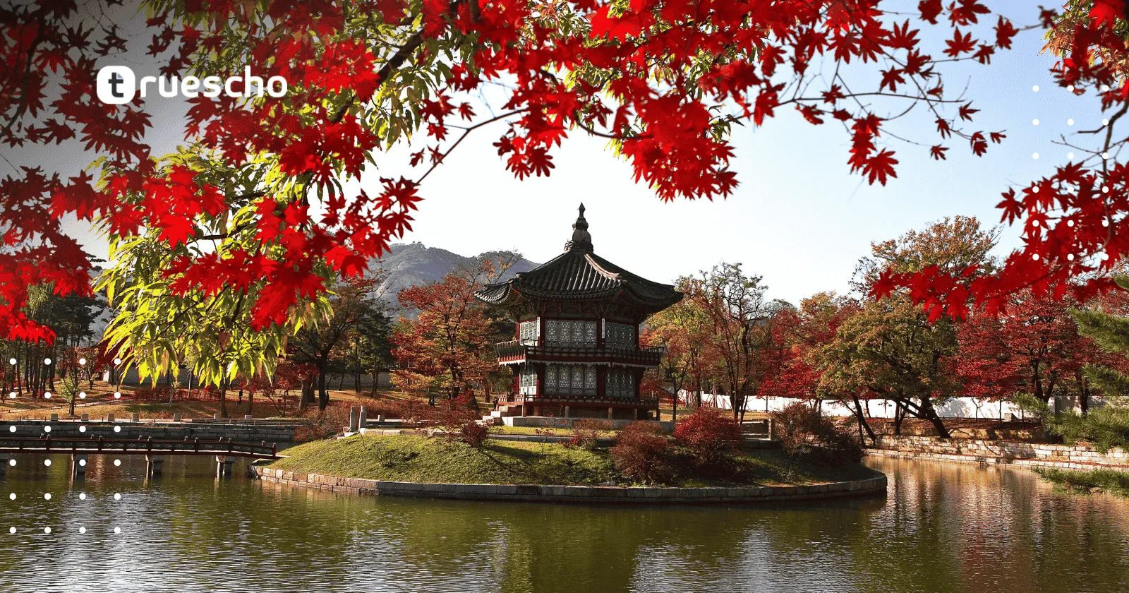 تدريب ديجيست الصيفي