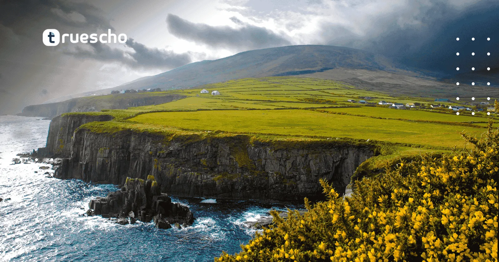 منحة حكومة أيرلندا