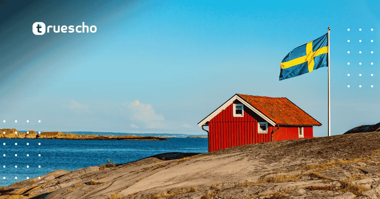 رواد التأثير من المعهد السويدي