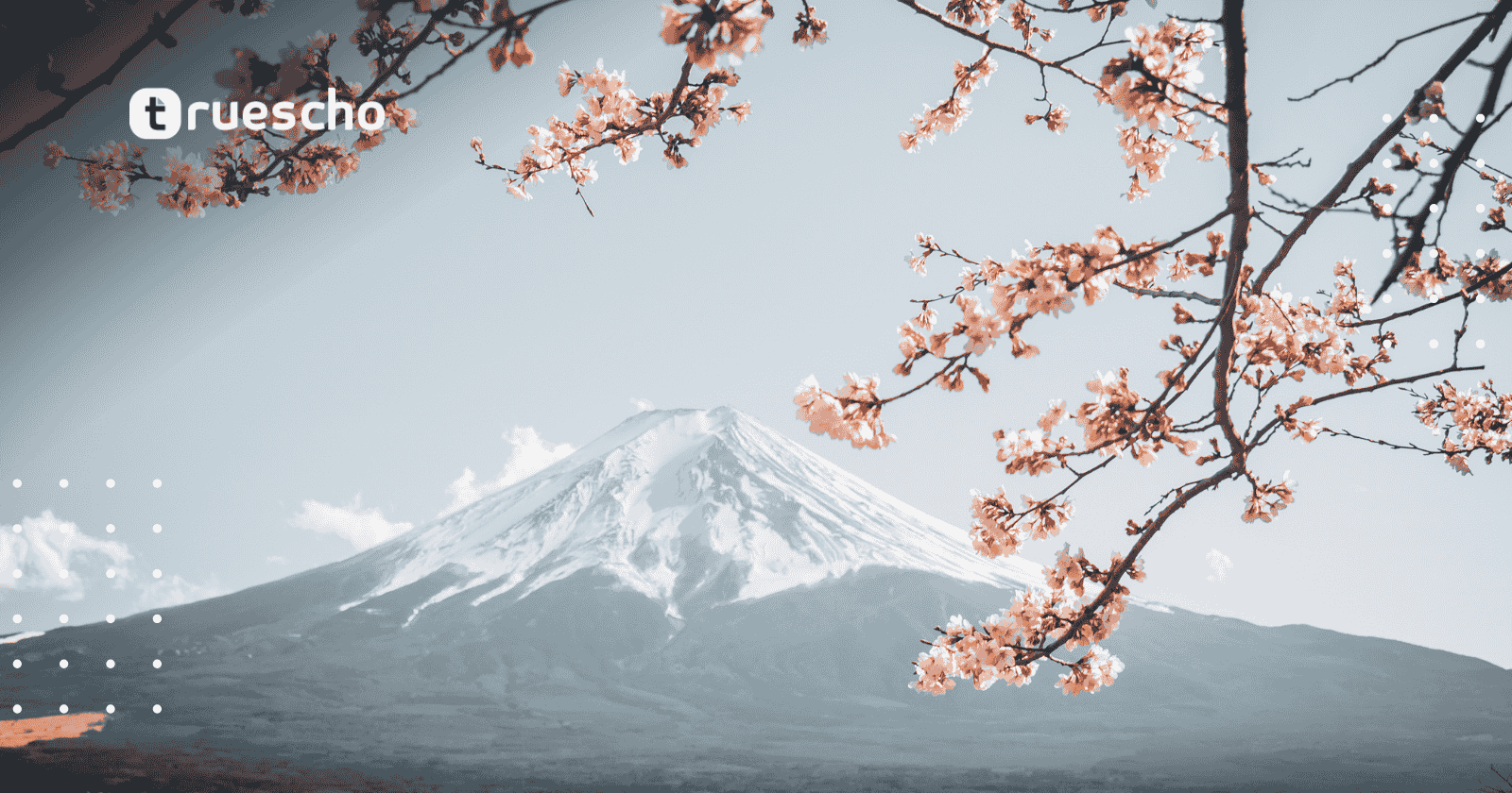 برنامج الإقامة الفنية في طوكيو