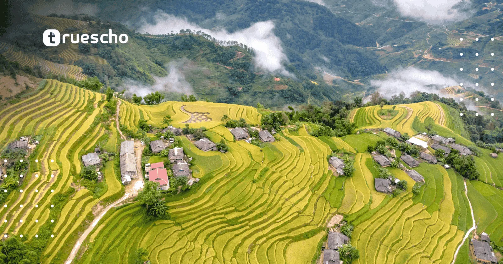 زمالة الإنترنت في مجال التبادل الشبكي