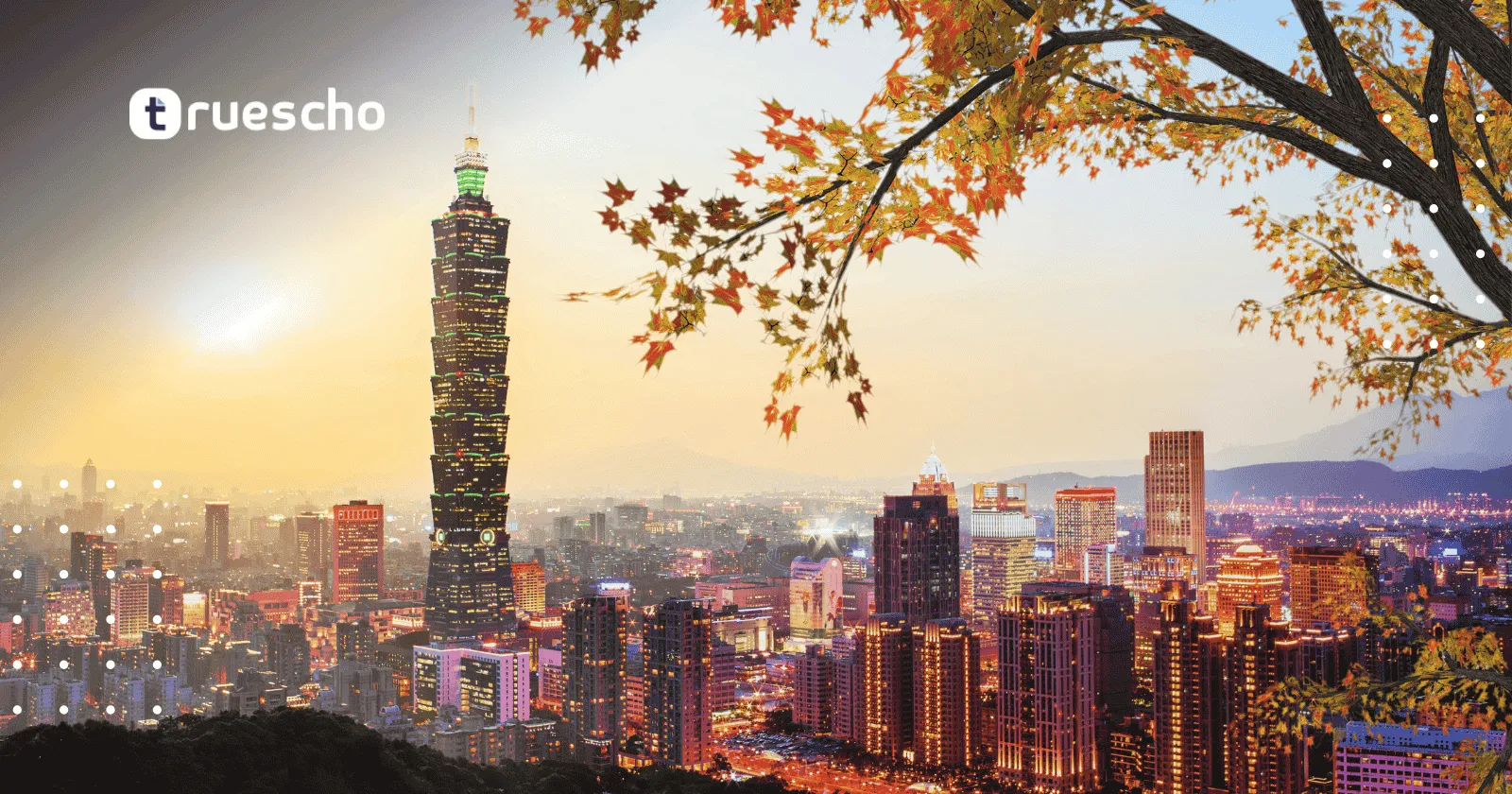 زمالة مكتبة تايوان الوطنية