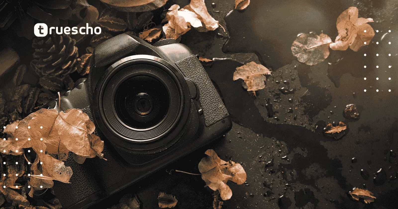 مسابقة عالم نيكورن الصغير 