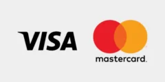 فيزا وماستركارد مستقبل التجارة الإلكترونية