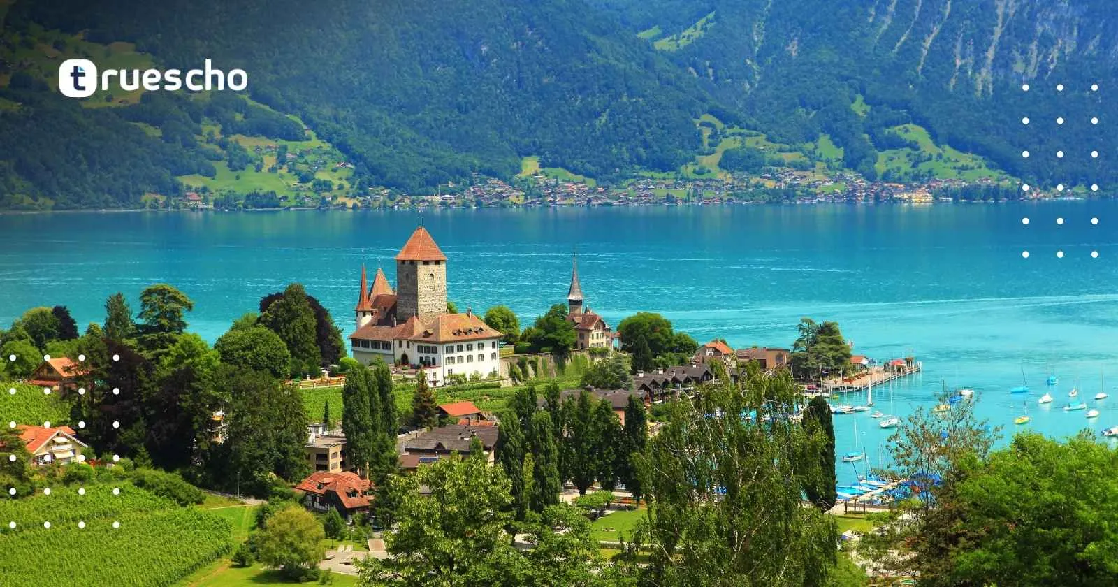 منح الحكومة السويسرية للتفوق