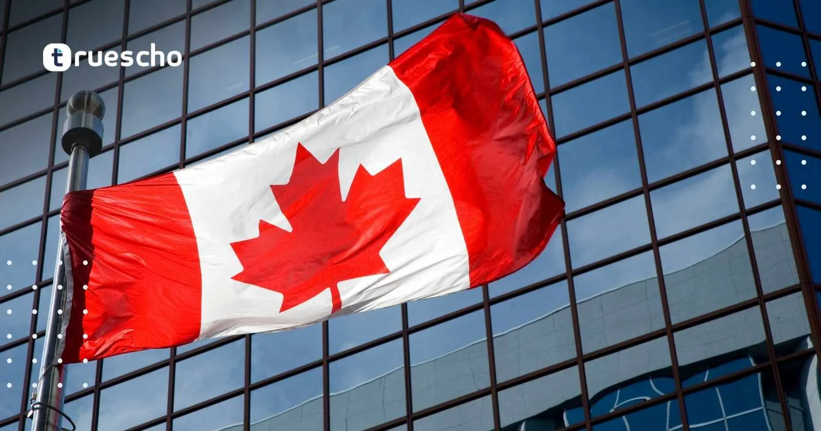 فرصة تدريب الأبحاث العالمية من ميتاكس