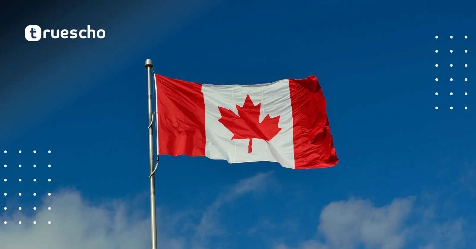 منحة مايكروسوفت للذكاء الاصطناعي