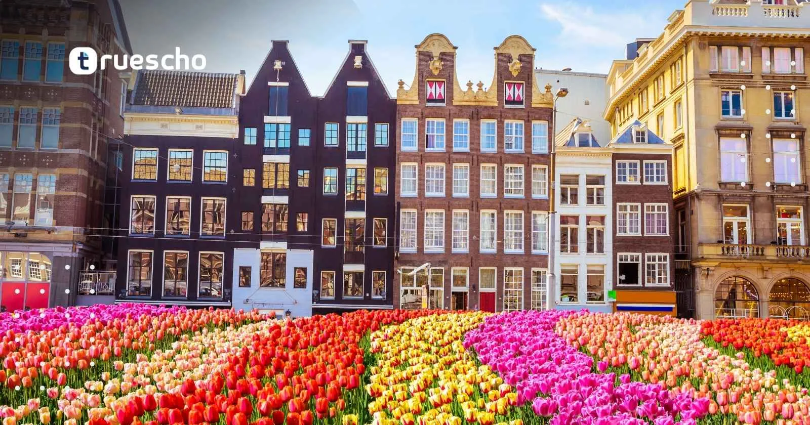 جامعة HAN للعلوم التطبيقية