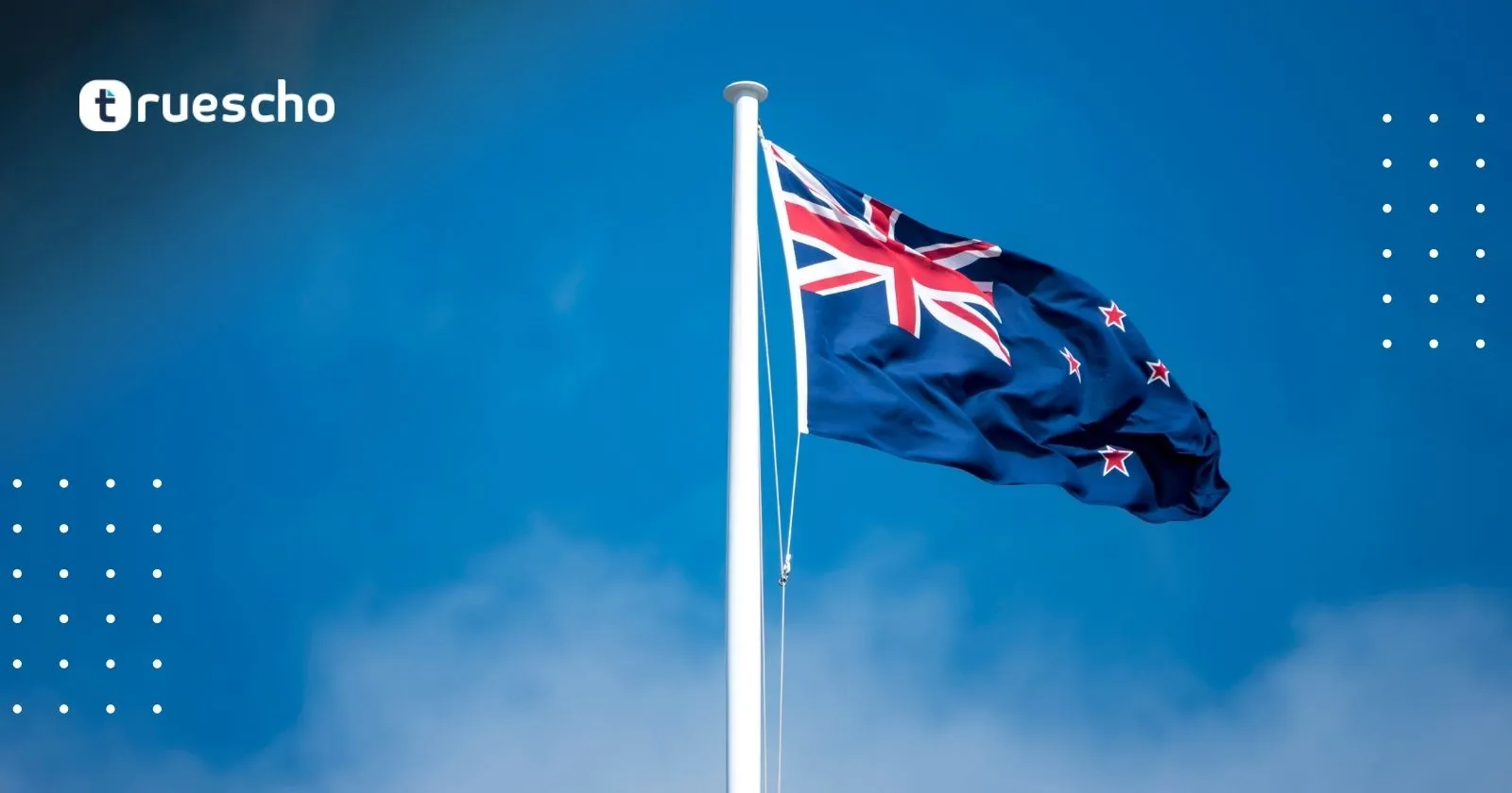 صياغة السيرة الذاتية في نيوزيلندا