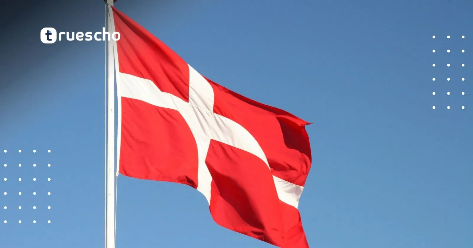 الدراسة في الدنمارك