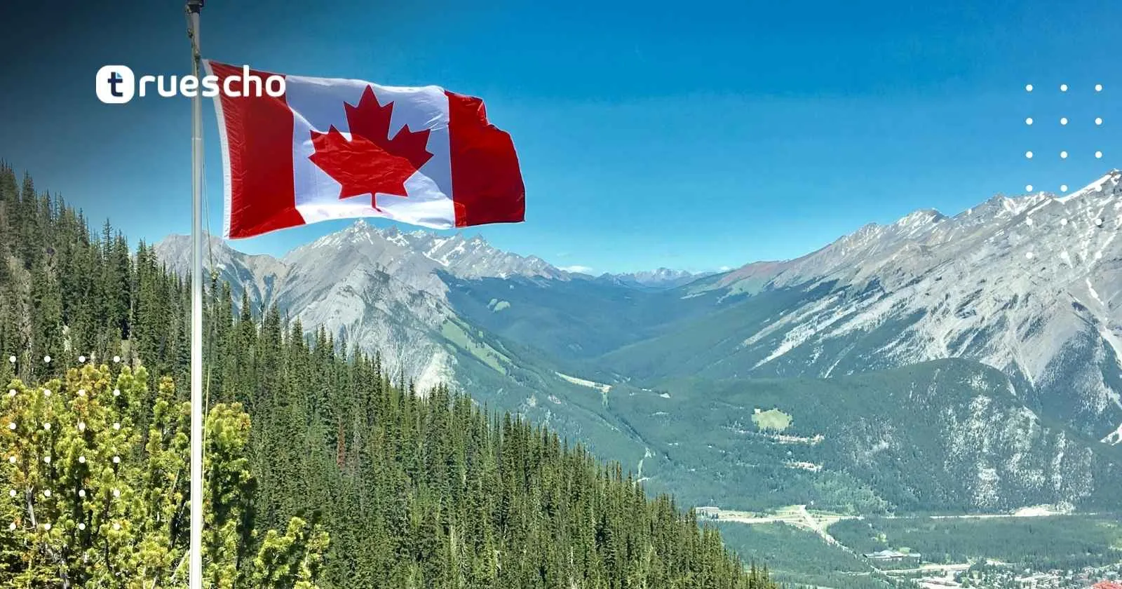 جامعة ألبرتا