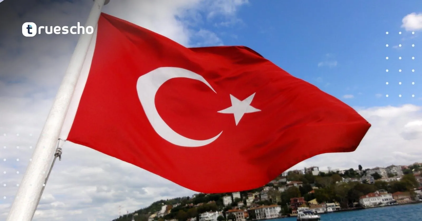 تثبيت النفوس عبر e-devlet