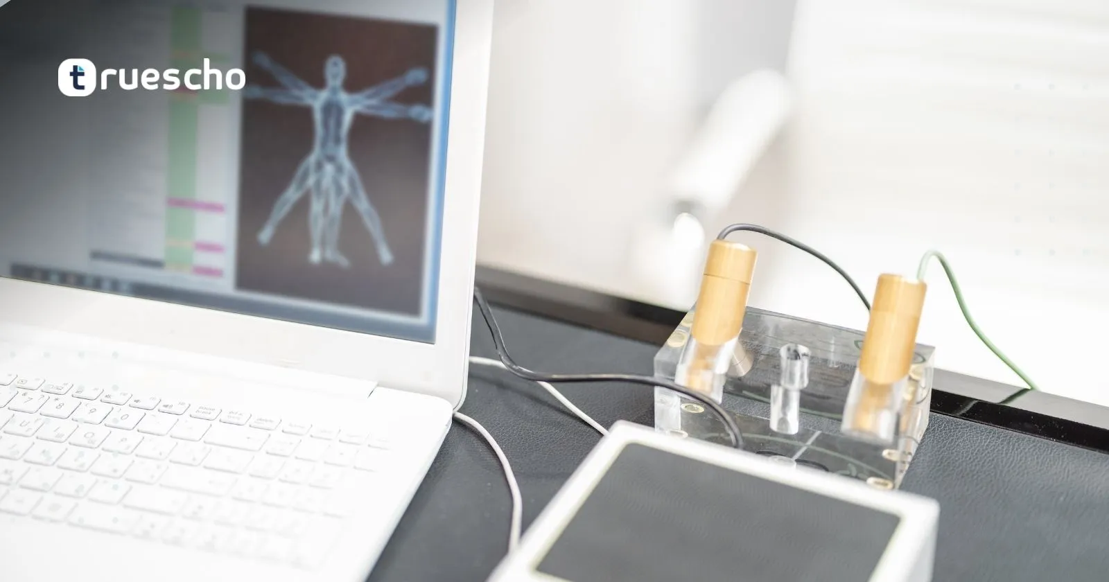 أسماء تحاليل الحمل 