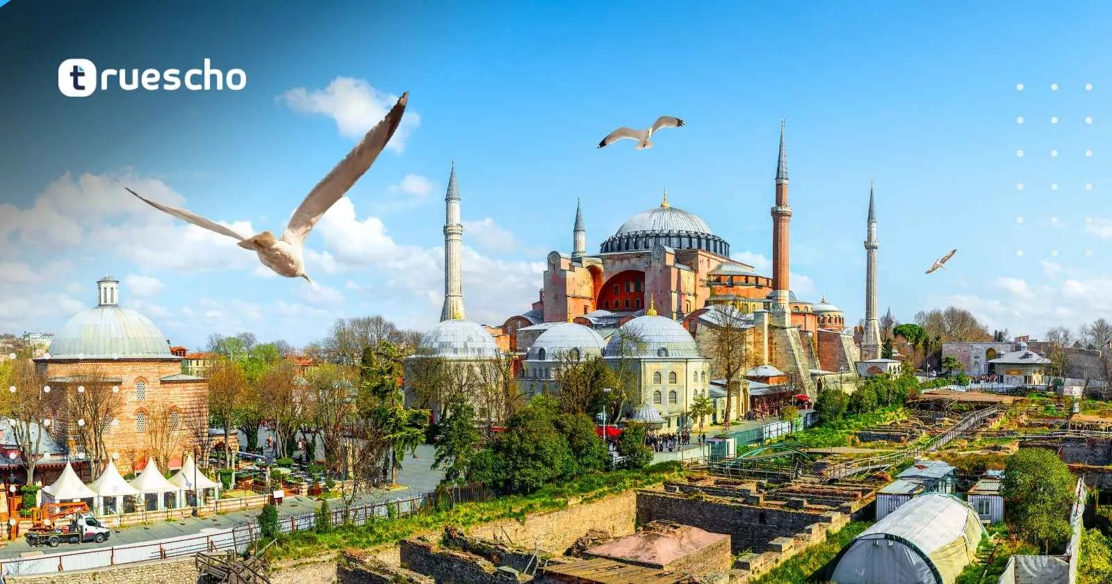 تجديد إذن العمل