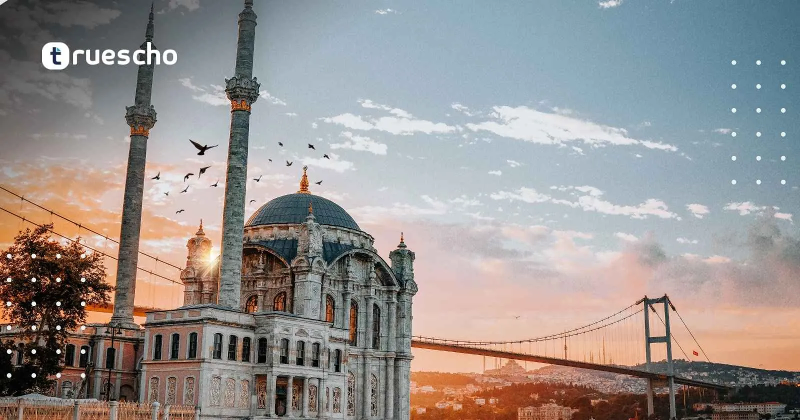 استخراج سند إقامة من e devlet