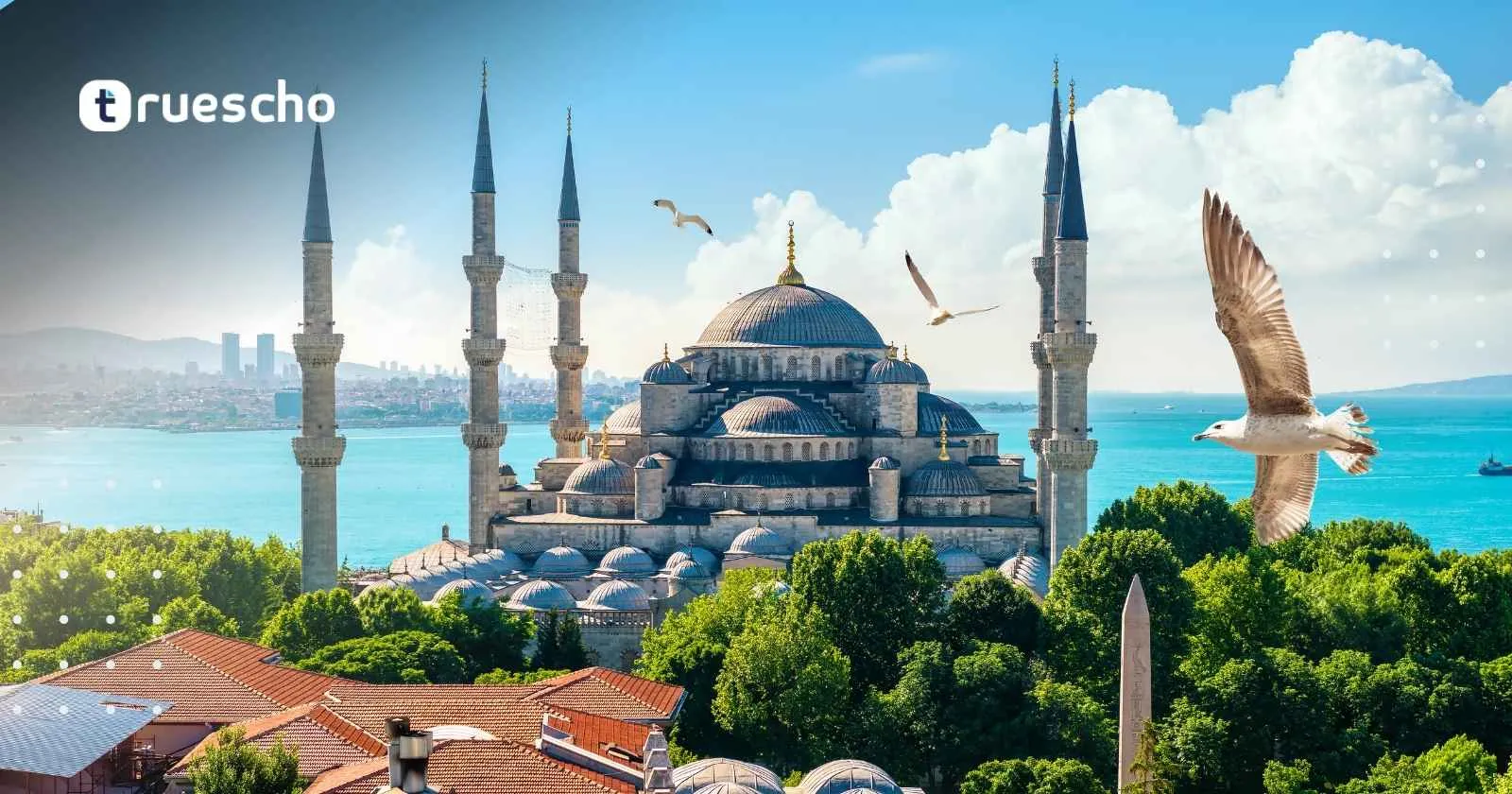 التقديم على الجامعات التركية