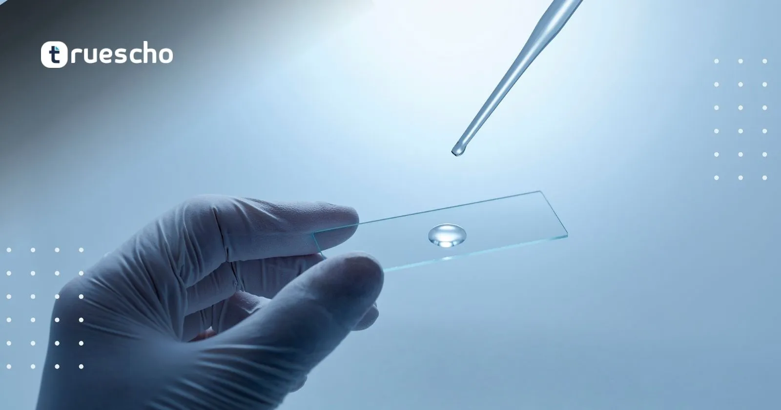 ترجمة التحاليل الطبية للإنجليزية