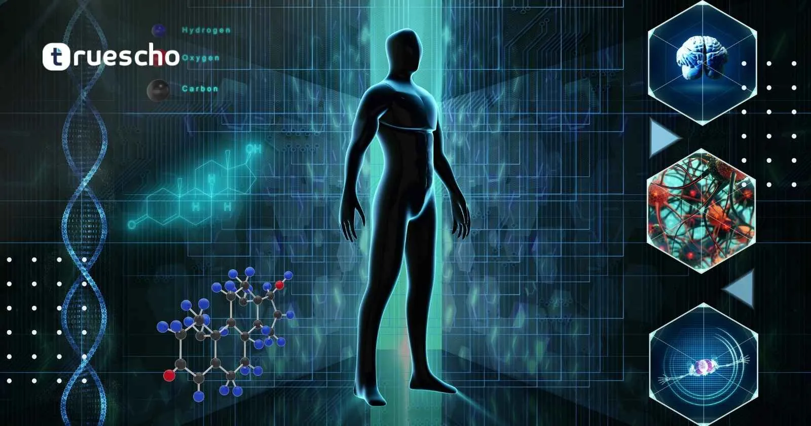 دراسة الطب في تركيا