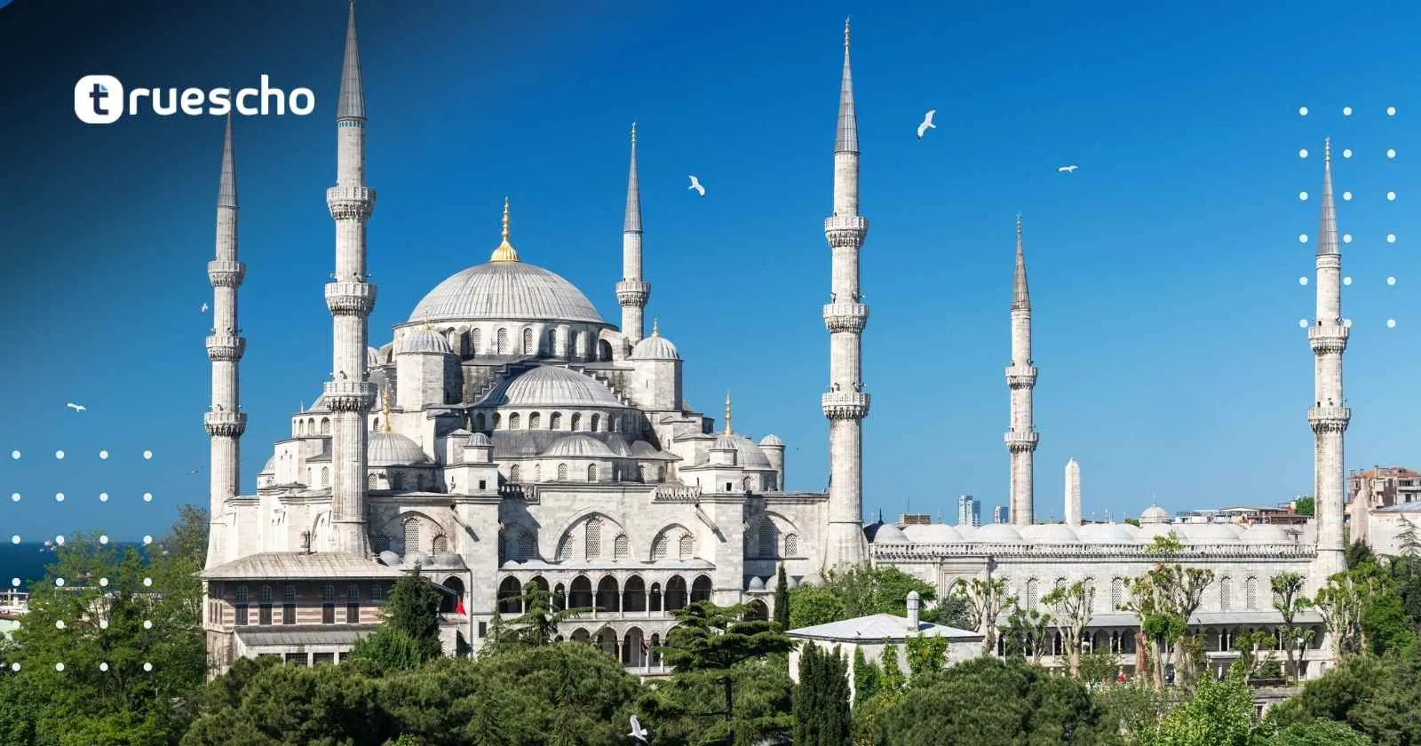 سند إقامة بالتركي