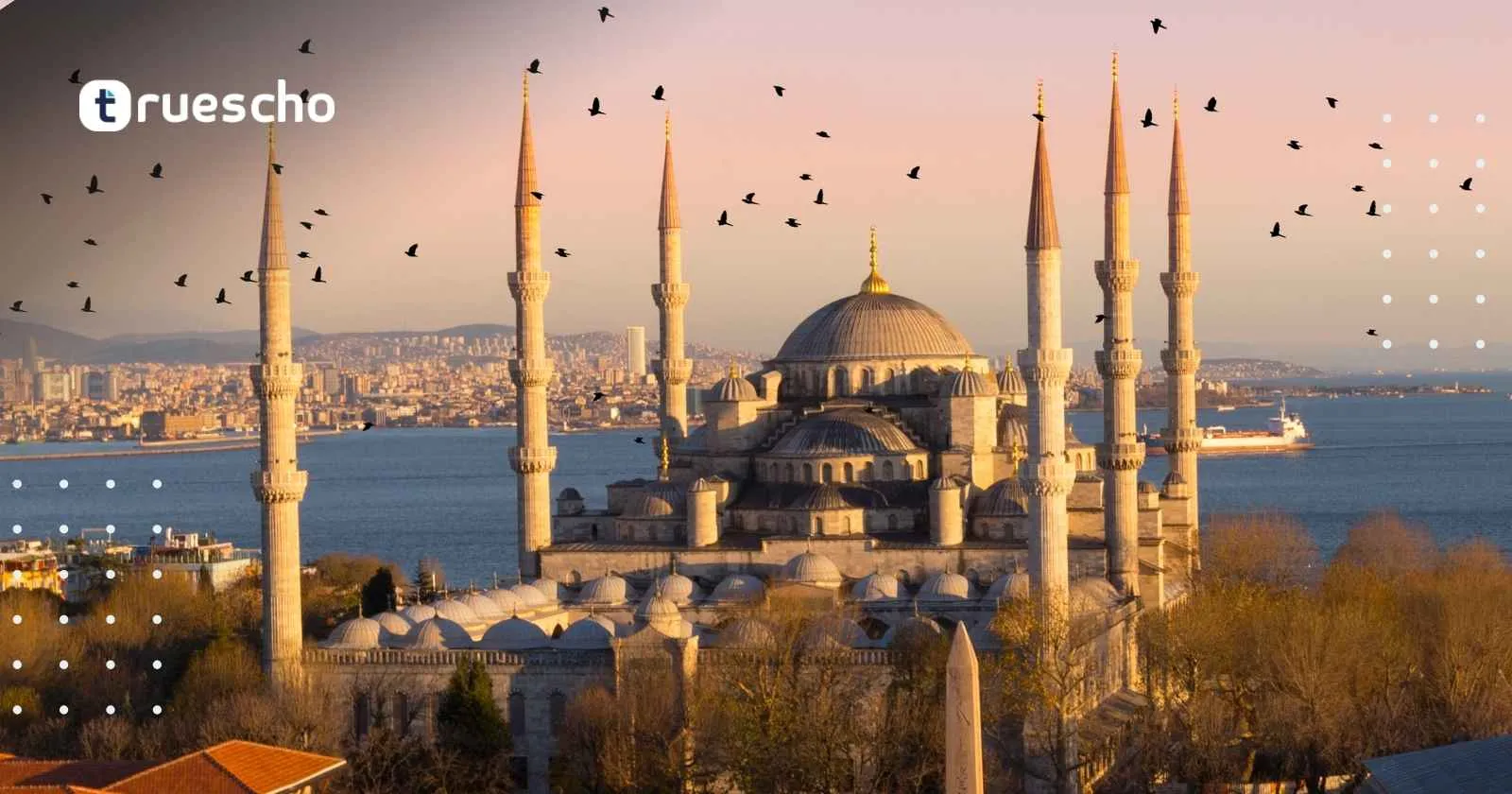 الرقم الضريبي في تركيا